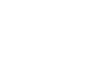 logotipowhite_nvconta